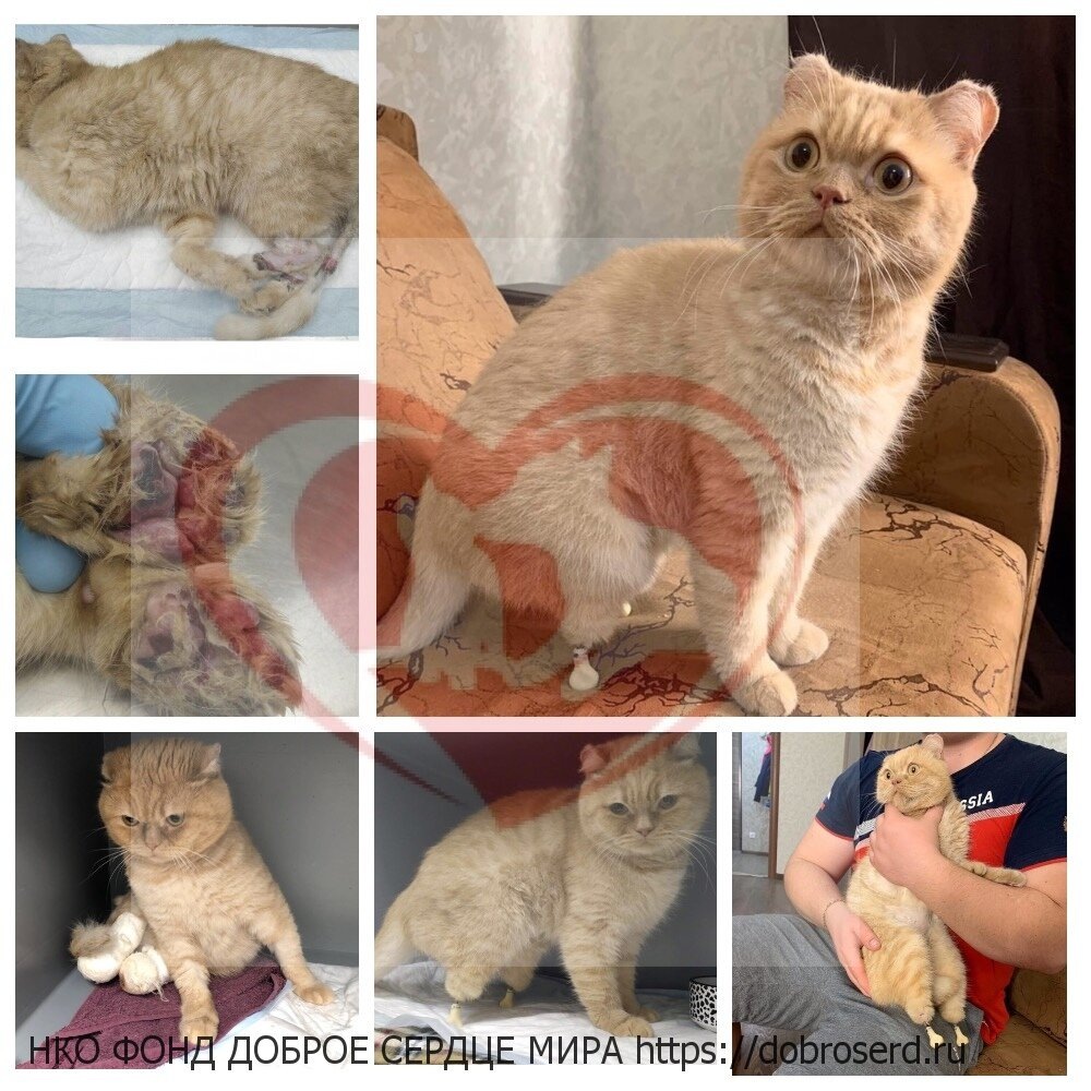 Котик Константин ДО и ПОСЛЕ 