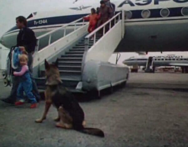 Кадр из фильма «На привязи у взлетной полосы»