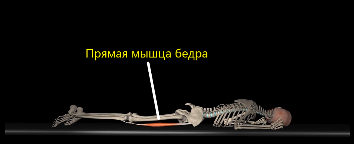 Исходное положение тестирования