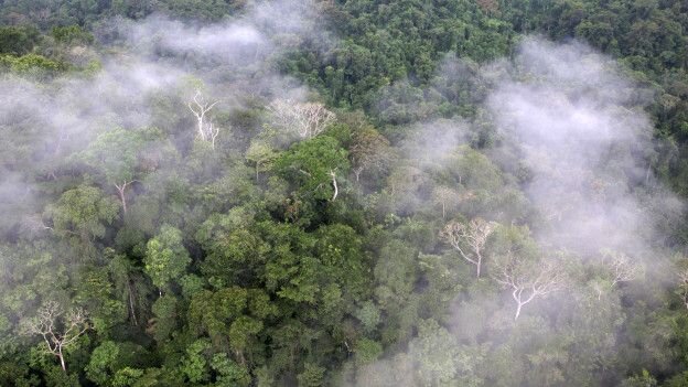 Источник фото: https://www.bbc.com/mundo/noticias/2016/01/160113_busqueda_honduras_ciudad_blanca_mono_dios_ppb