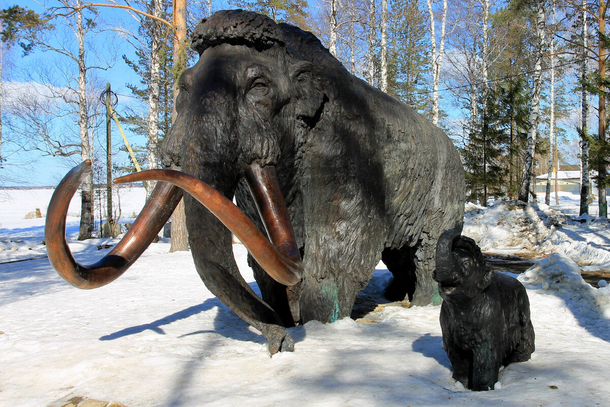 Палеолитическая фауна давно уже канула в Лету, но отдельных её представителей, изваянных в натуральную величину, можно увидеть на территории палеопарка, открывшегося в конце 2020 года на берегу озера Шарташ в Екатеринбурге