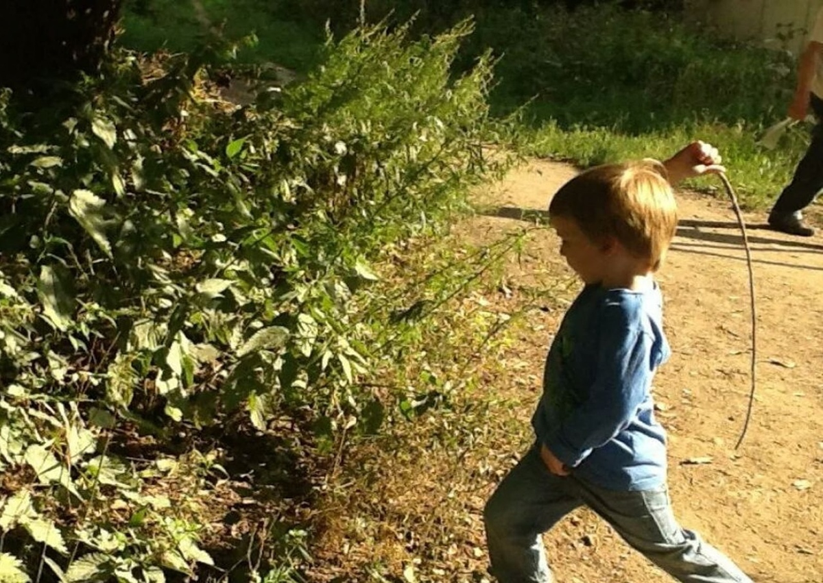 Источник: https://ru.news2fun.ru/img/79637.jpg