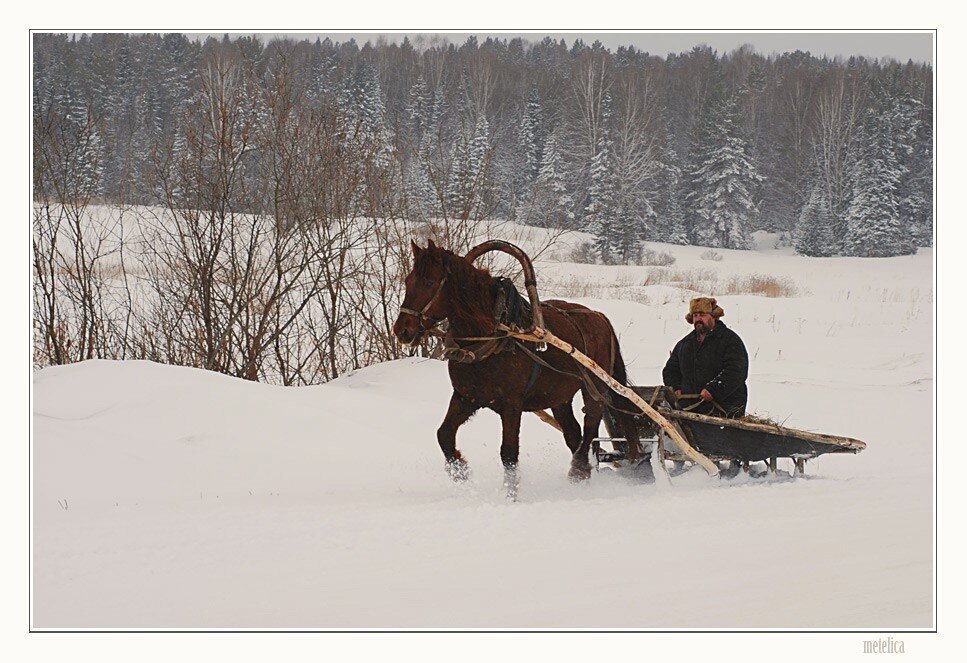 Ну не скакуна же снаряжать