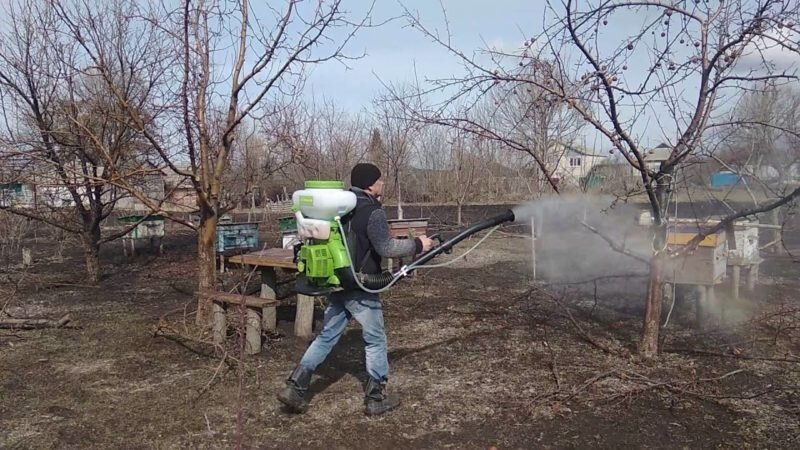 Железный купорос для весенней обработки яблонь