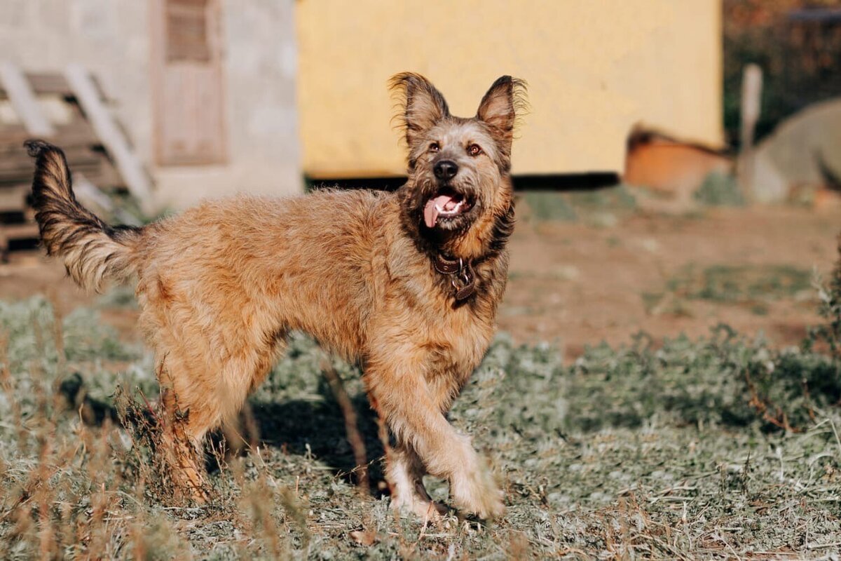 Майя, возраст 11 месяцев
