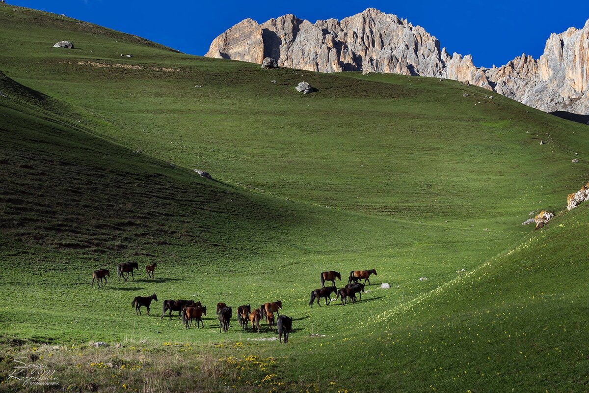 Национальный парк алания фото