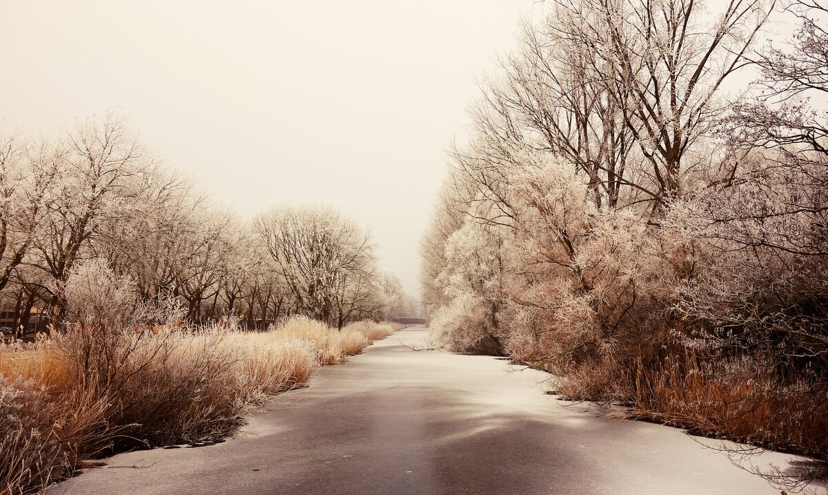 Источник - pixabay.com.