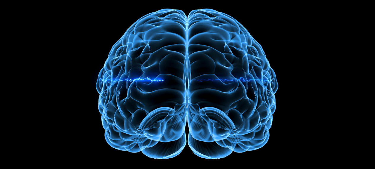 Мозги пульсируют. Мозги пульсируют. Мозги пульсируют. Мозги пульсируют. Мозги пульсируют.