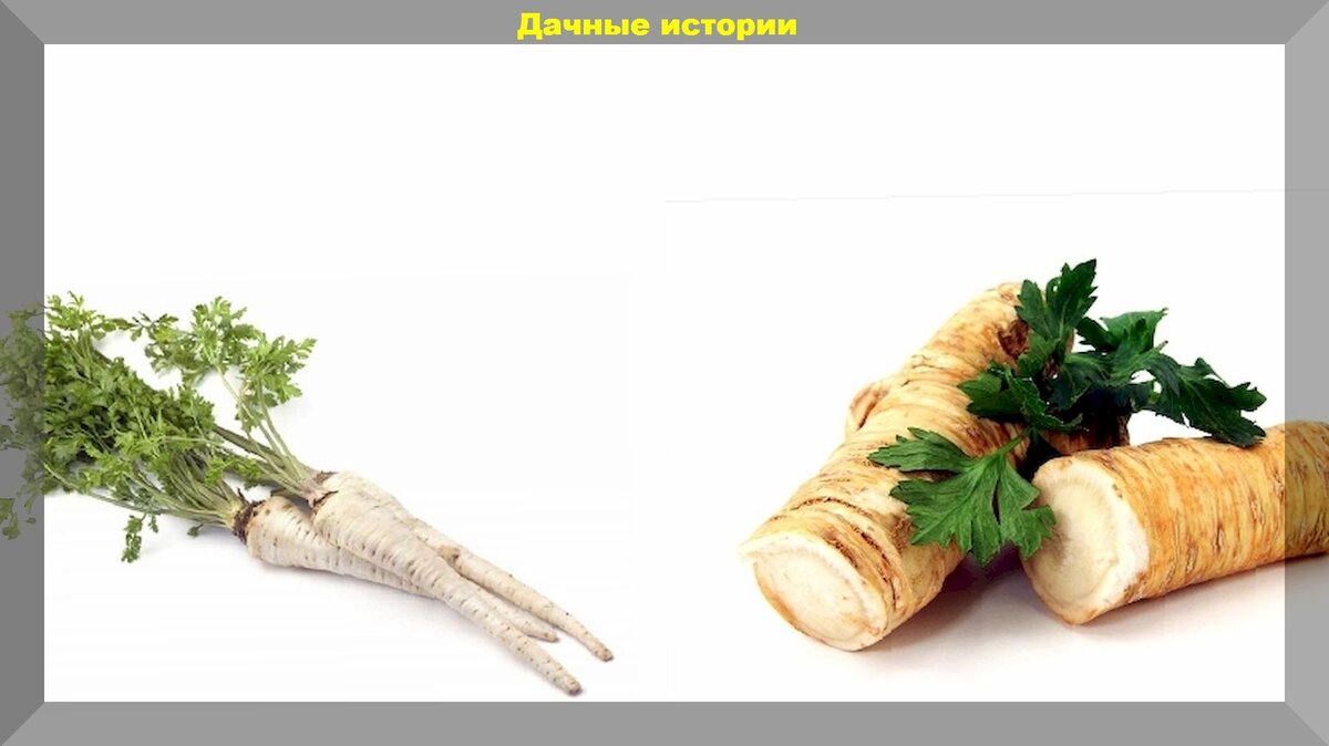 https://vk.com/photo-159774511_457252219