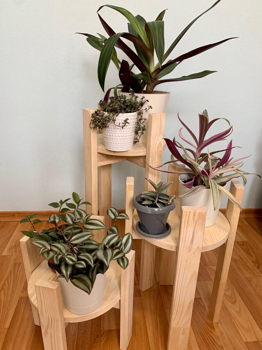 Моя маленькая коллекция