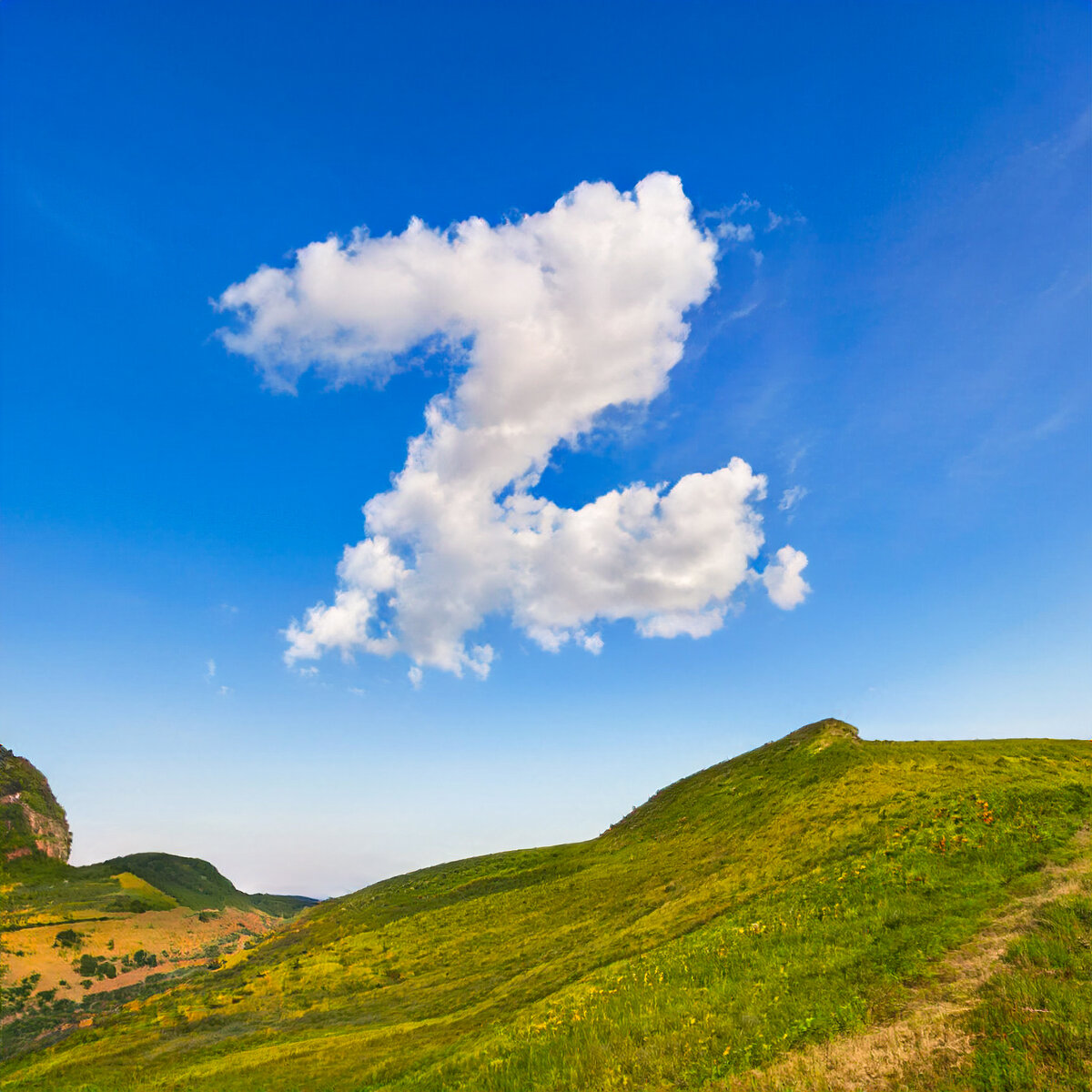 Светлая и тёмная версии. И вот такой неописуемой красоты ещё 23 варианта!