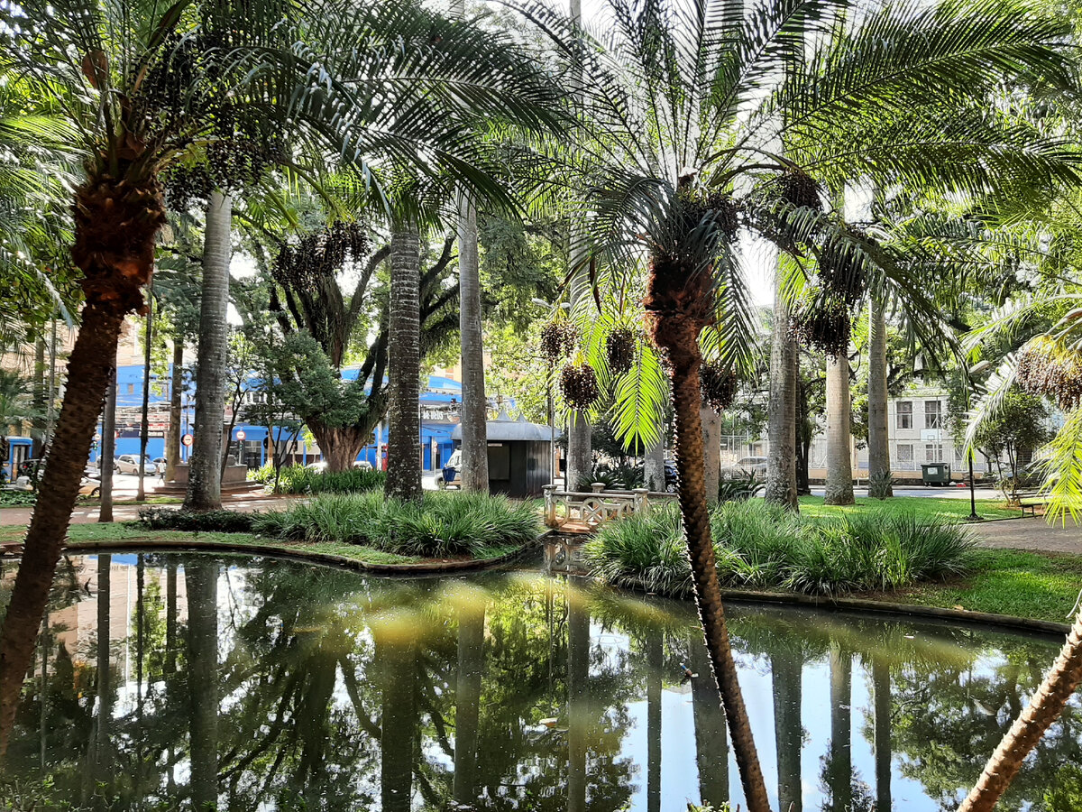 Бразилия. Фото автора.