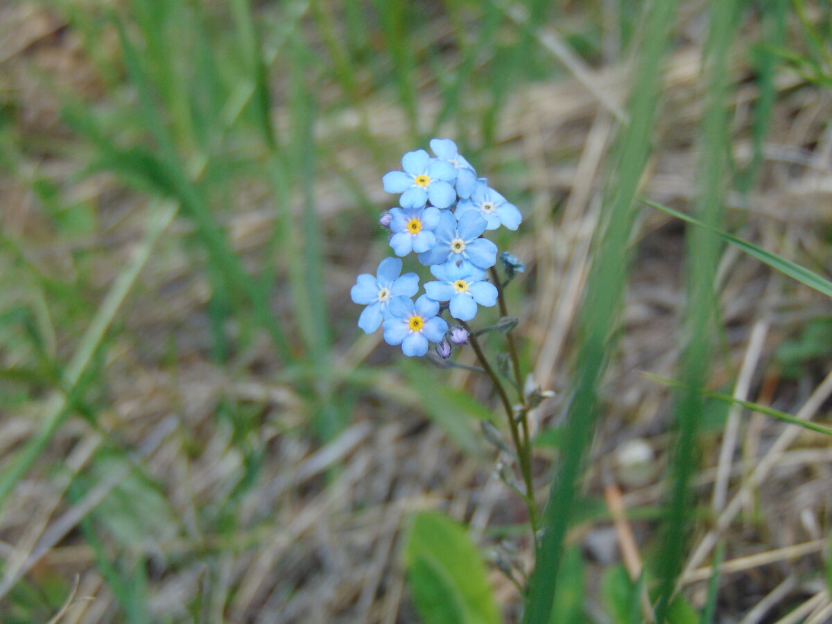 Фото автора канала