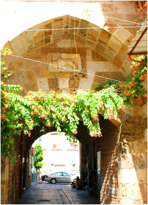 Вход в Эль-Фаранж со стороны ул. Юлия Цезаря. Какие имена!