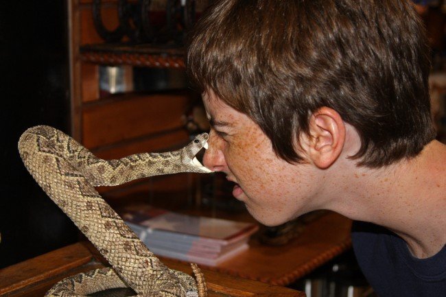 фото из свободного источника Интернет