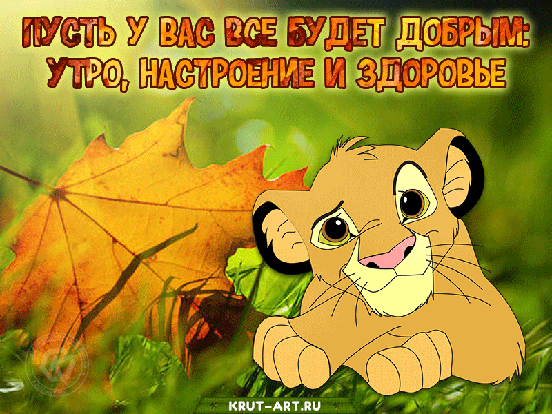 Анимация с добрым утром: Пусть у вас все будет добрым: утро, настроение и здоровье, бесплатная анимация на каждый день.