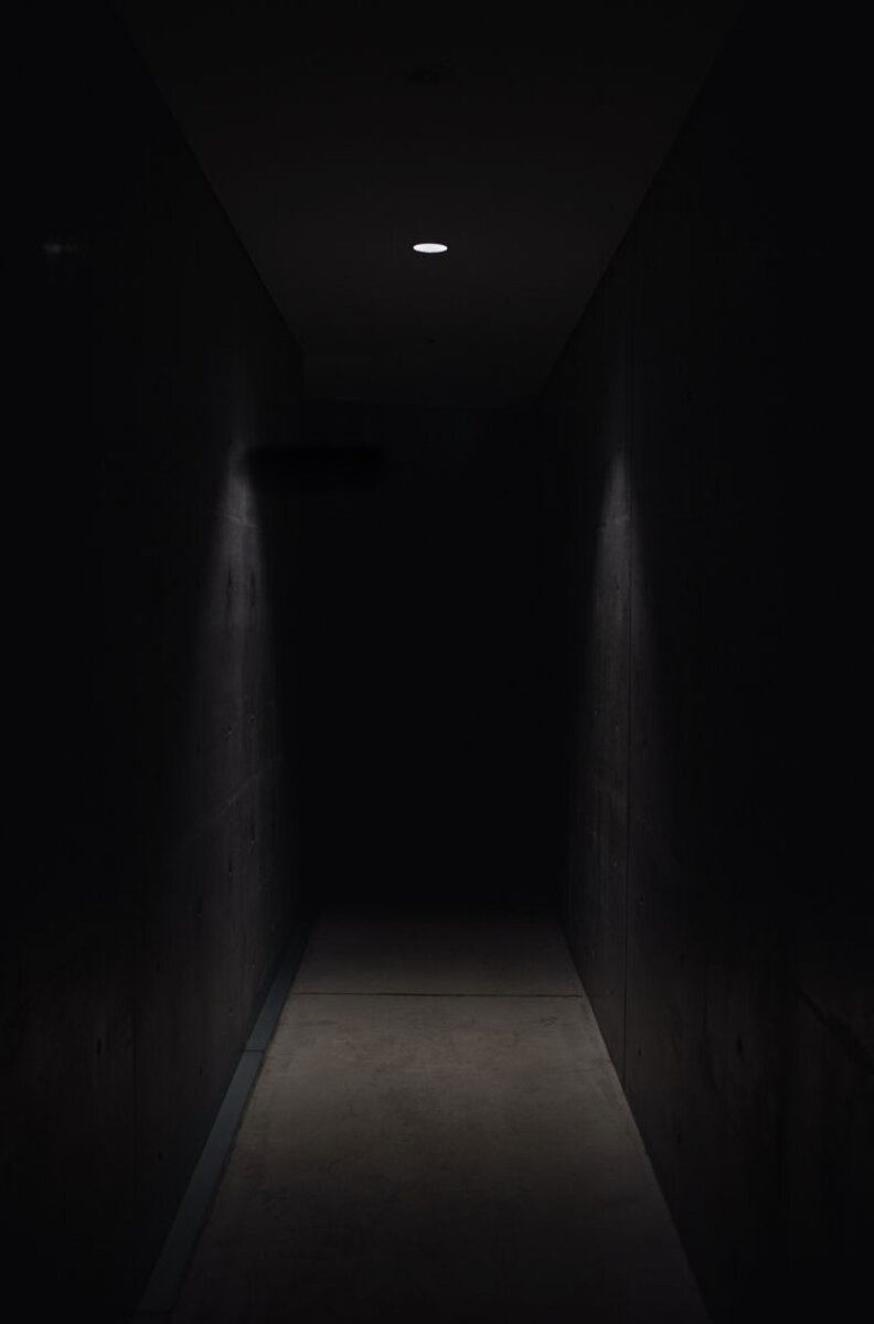 Фото из интернета