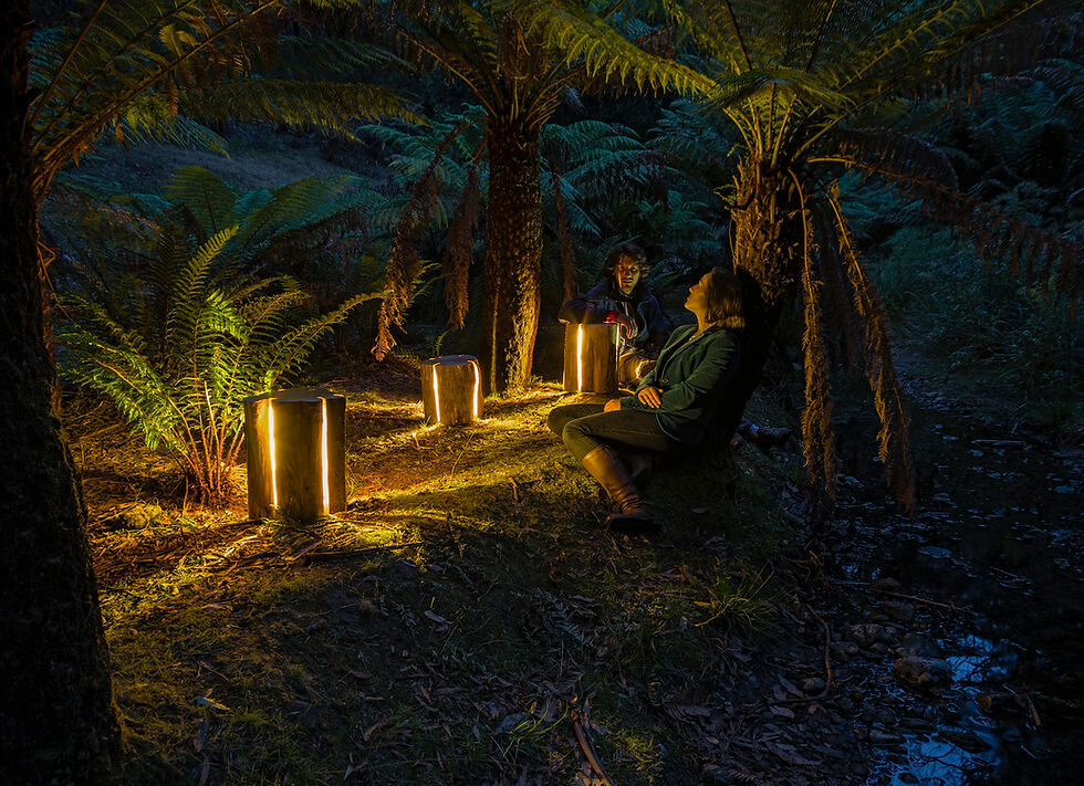 Фото компании  Duncan Meerding 