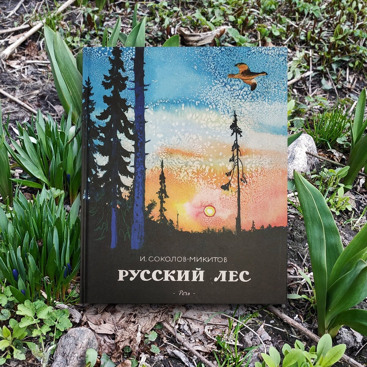 Иван Соколов-Микитов - Русский лес. С вопросами и ответами для почемучек краткое содержание