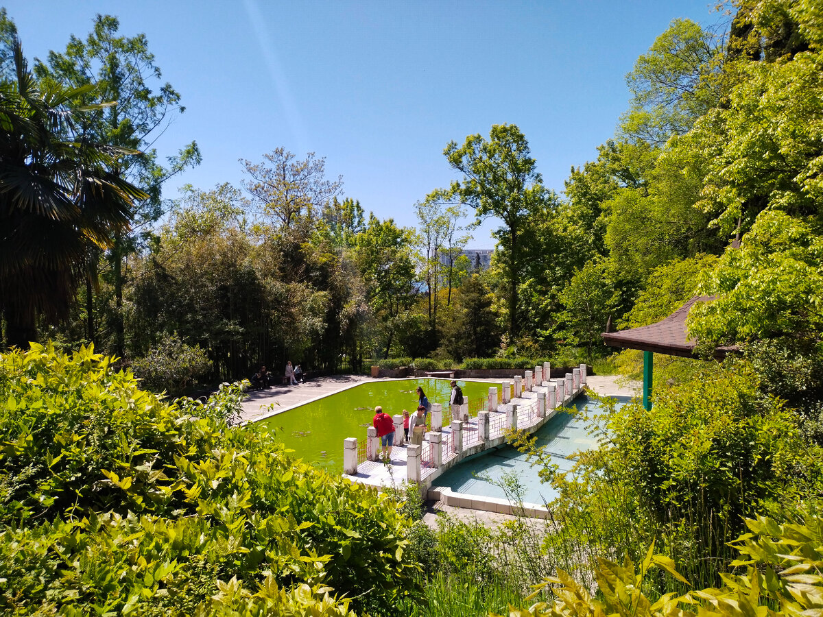 Фото автора канала