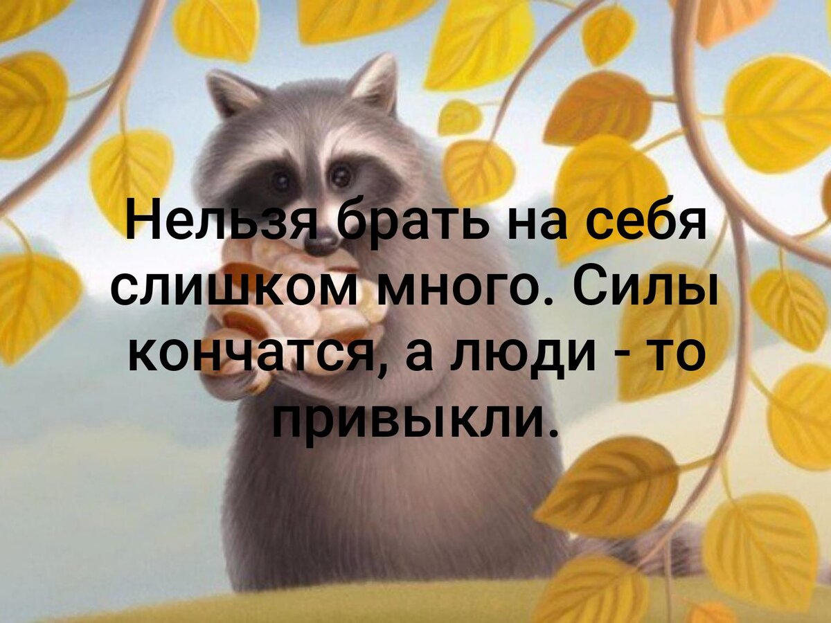 Не надо брать на себя слишком много - тем более, если не просят |  Достигать. Служить. Вдохновлять. | Дзен