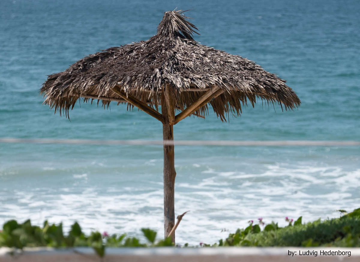 Не волосы, а солома