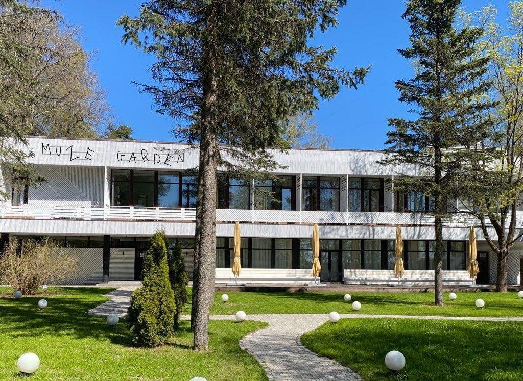 Репино рестораны