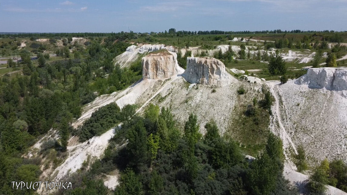 Новодевиченские меловые