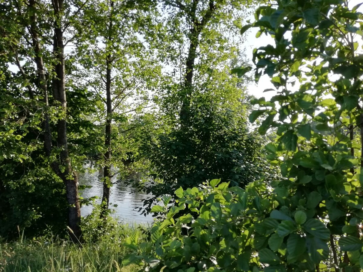 Красивое озеро. Фото автора канала NikI Photostory