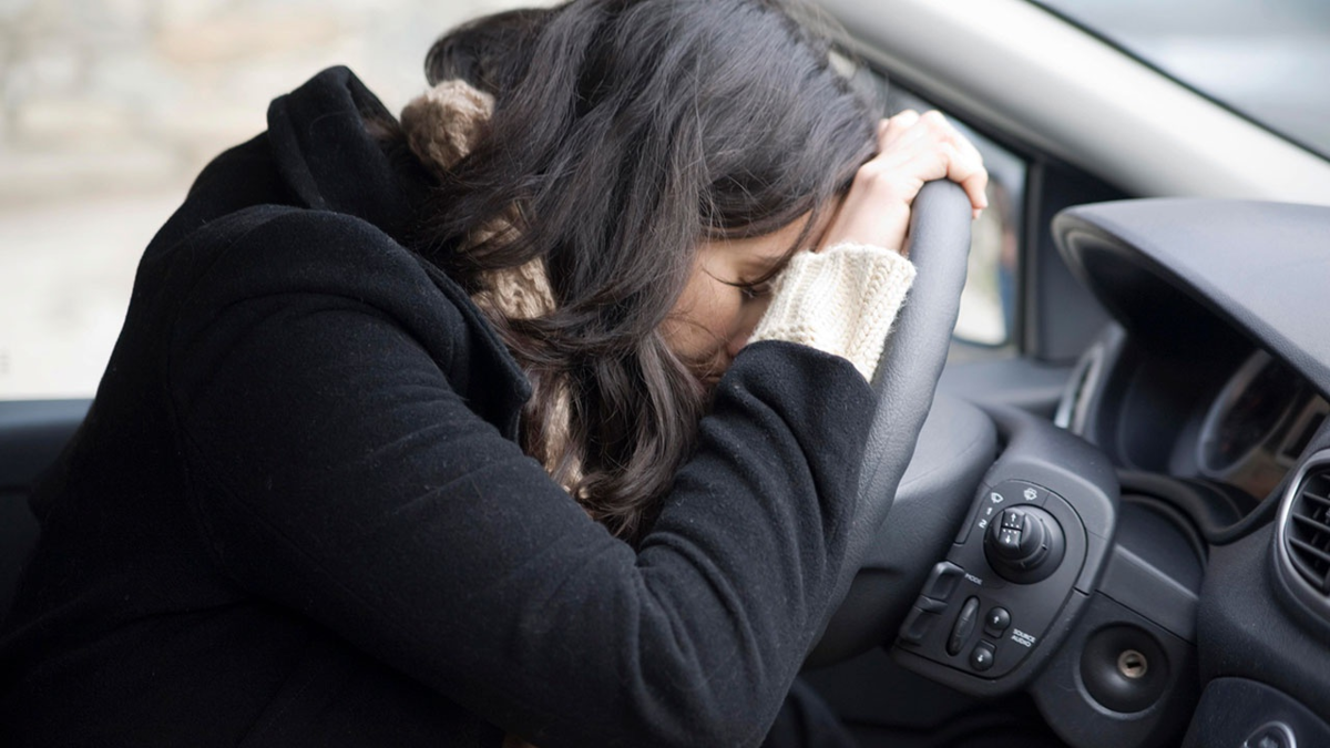 Фото из открытых источников Яндекс 