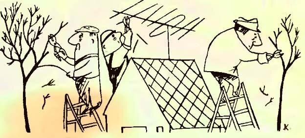 Юмор.  Я укоротил антенну. Журнал "Радио" 1965 12.