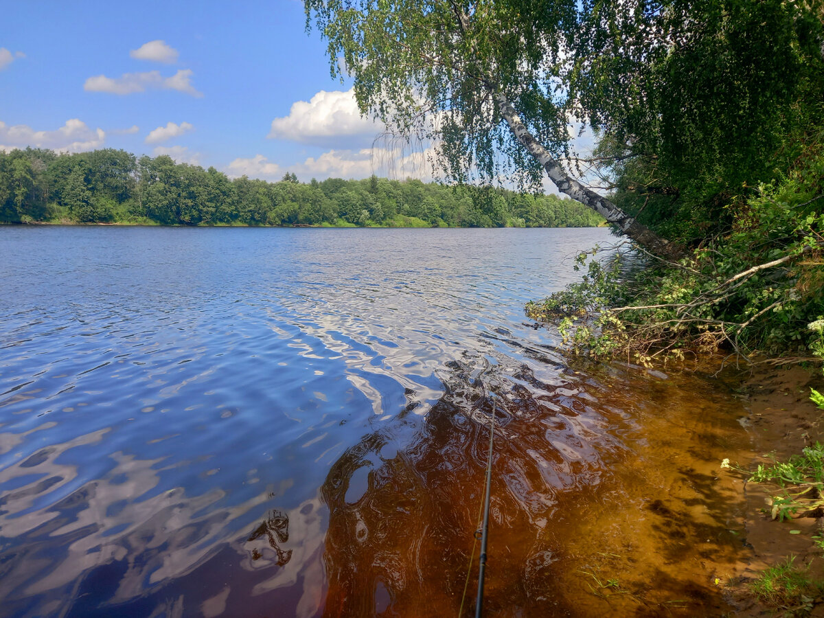 River court