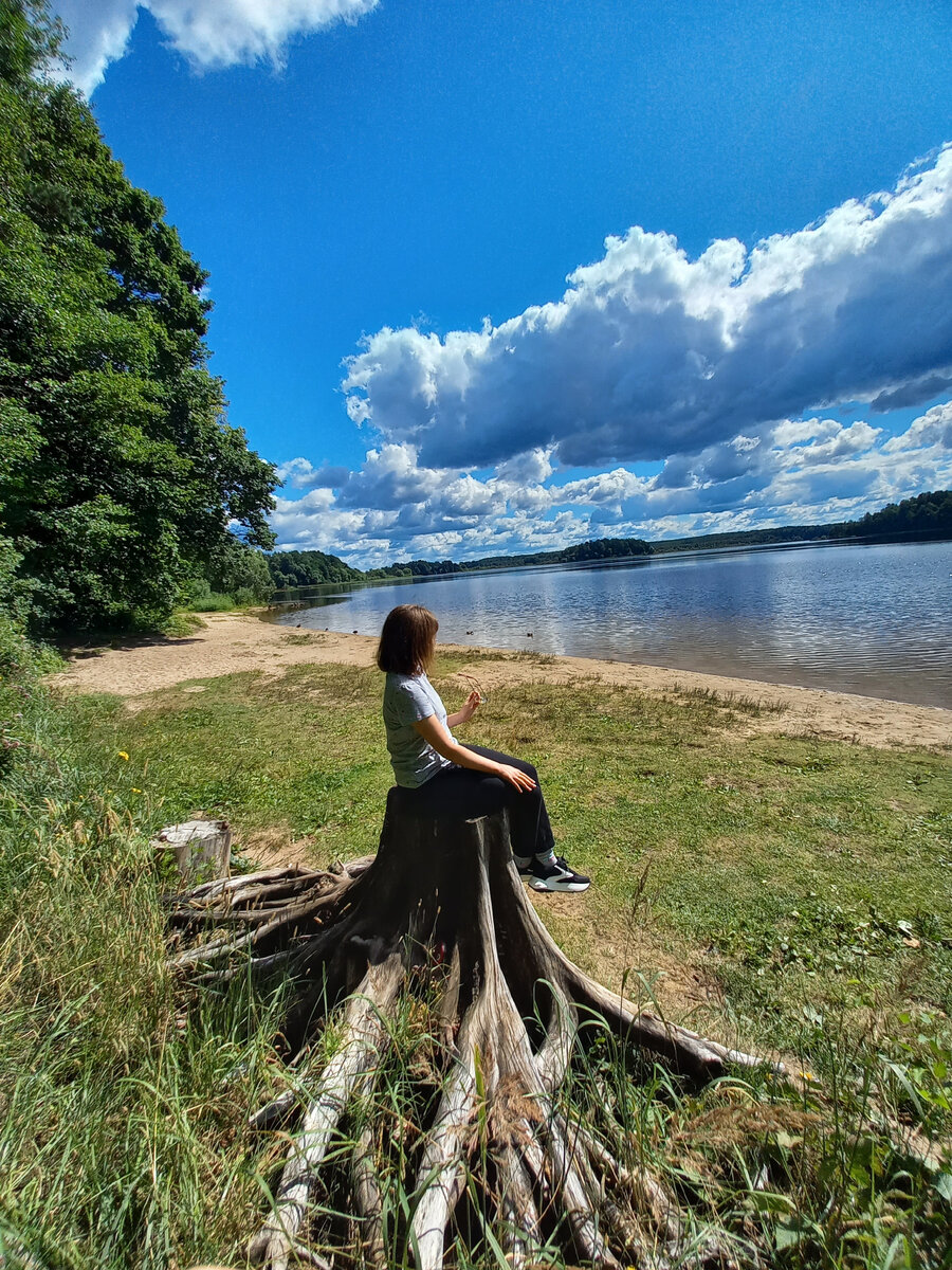 Пенёк - осьминог.