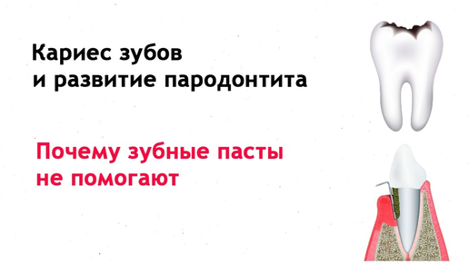 Почему зубы твердые. Почему зубы твердые