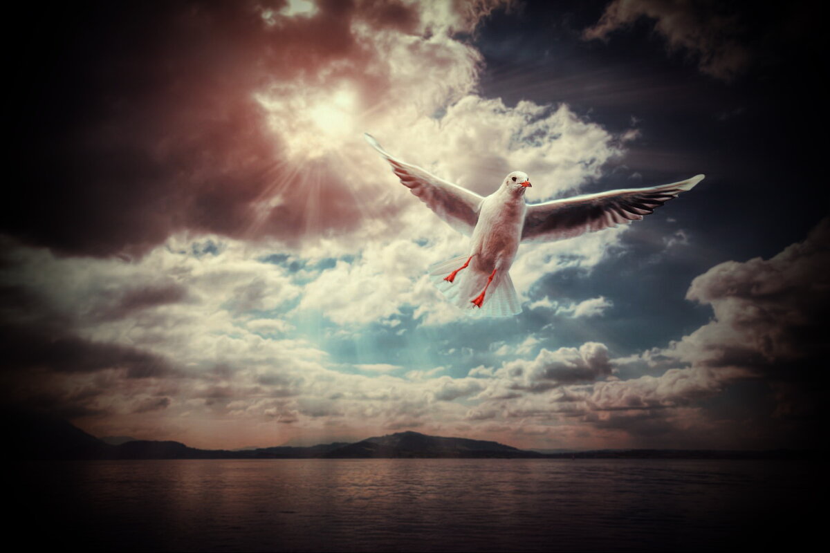 Фото из открытых источников