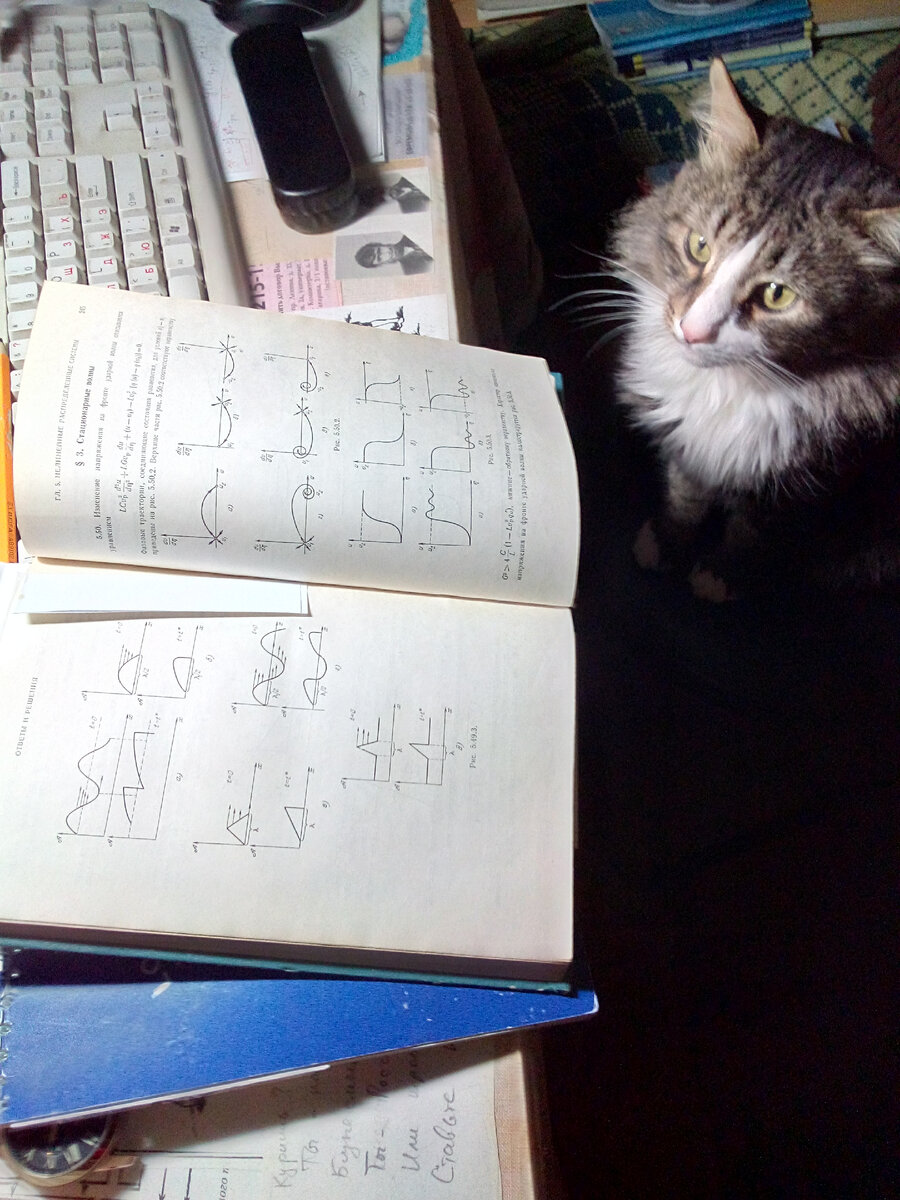 Дядя Стёпа изучает нелинейную волновую динамику :-)