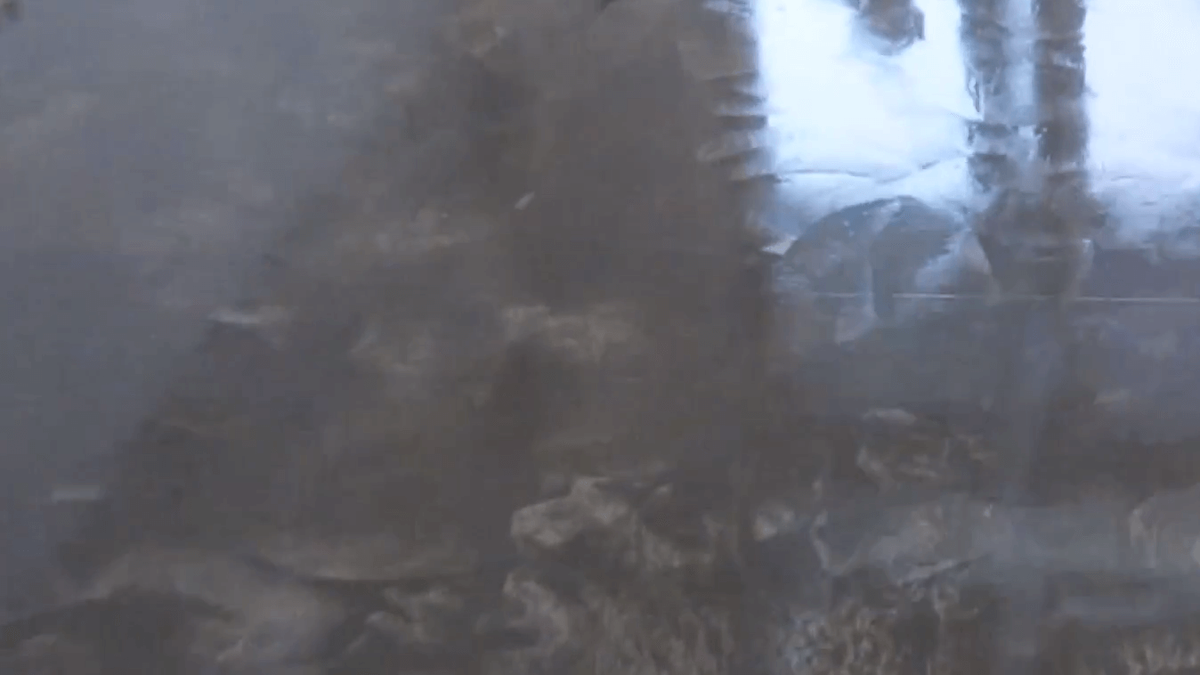 Тонкости выбора 3D пола