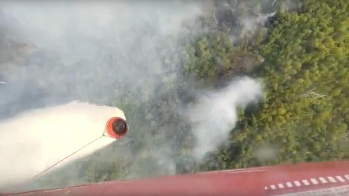    Тушение пожара в Рязанской области© Фото : комплекс городского хозяйства Москвы