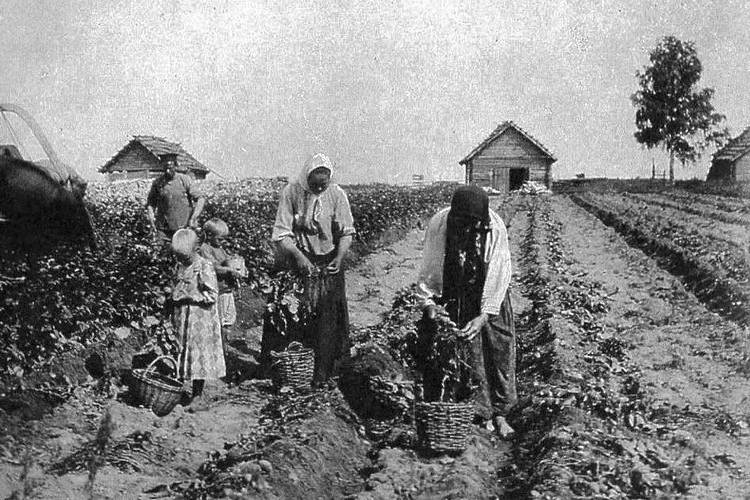 Крестьяне в поле