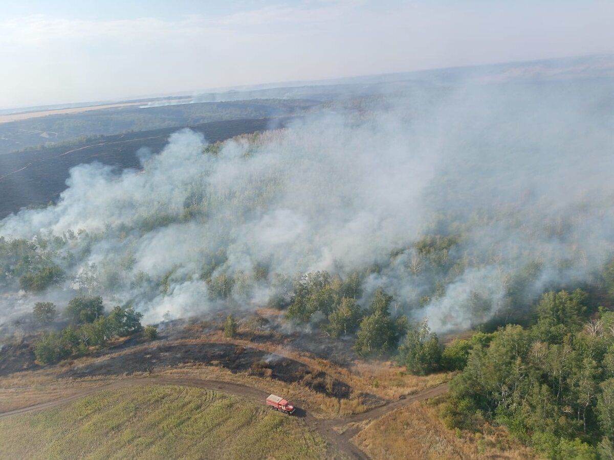 Такую картину в зонах лесных пожаров МЧС прогнозирует до декабря 2022