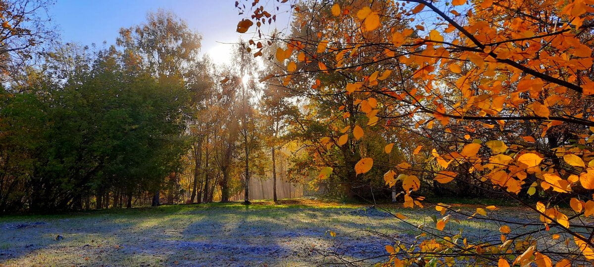Первые заморозки по утрам. Фото М.Трубнякова