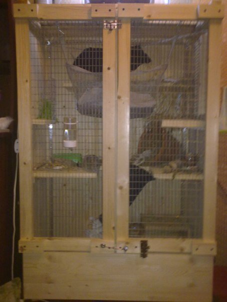 Многопиксельных телефонов тогда не было)) 