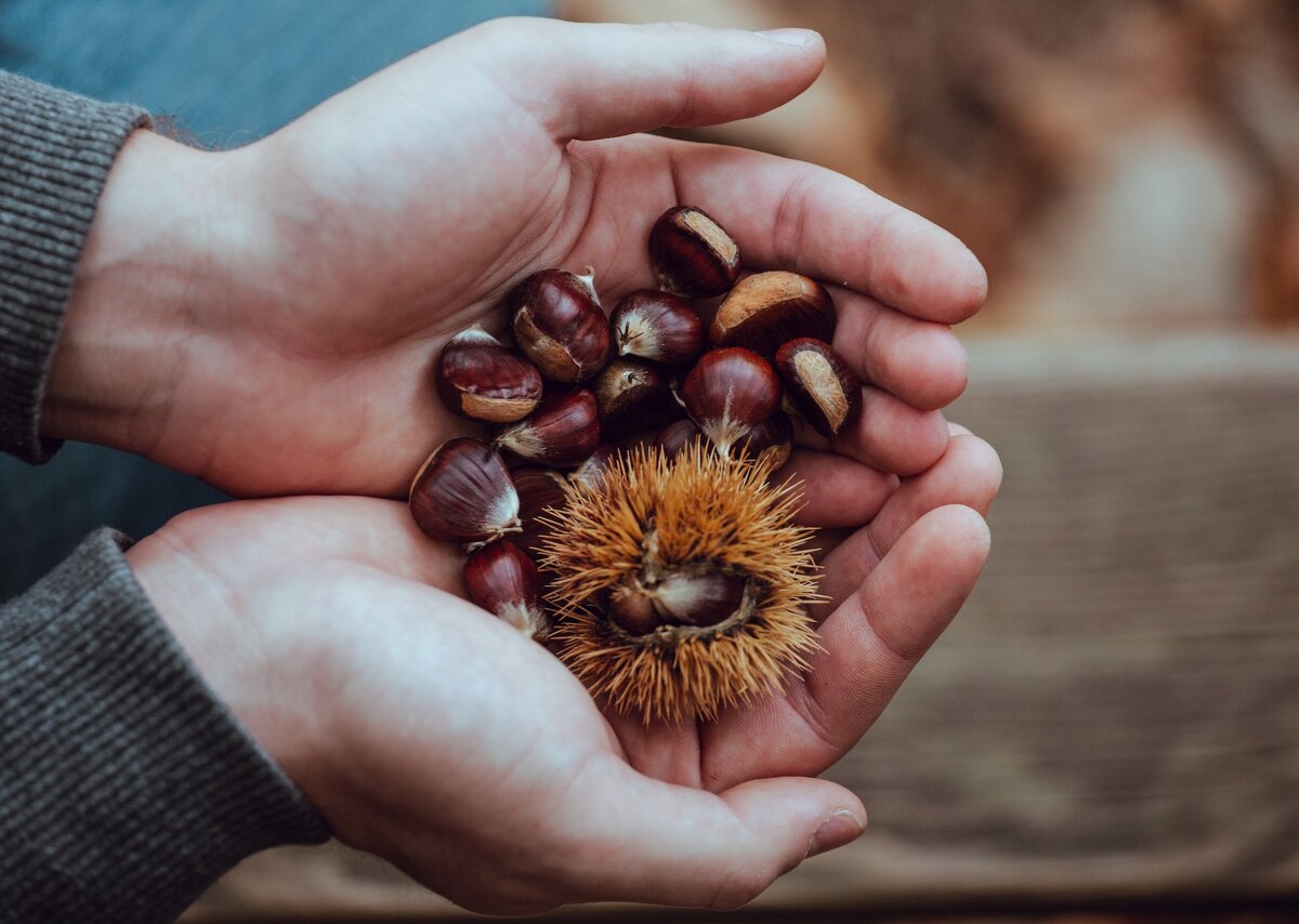 Sébastien Bourguet/unsplash.com