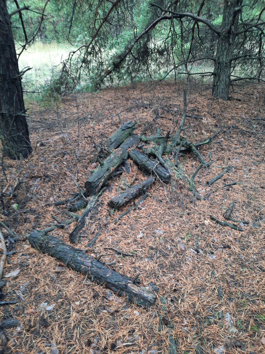 бесплатные дрова. забирай, суши и грейся