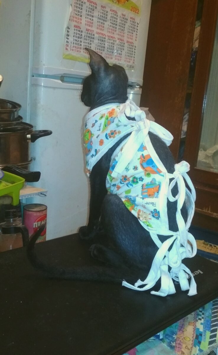 Надето сыном