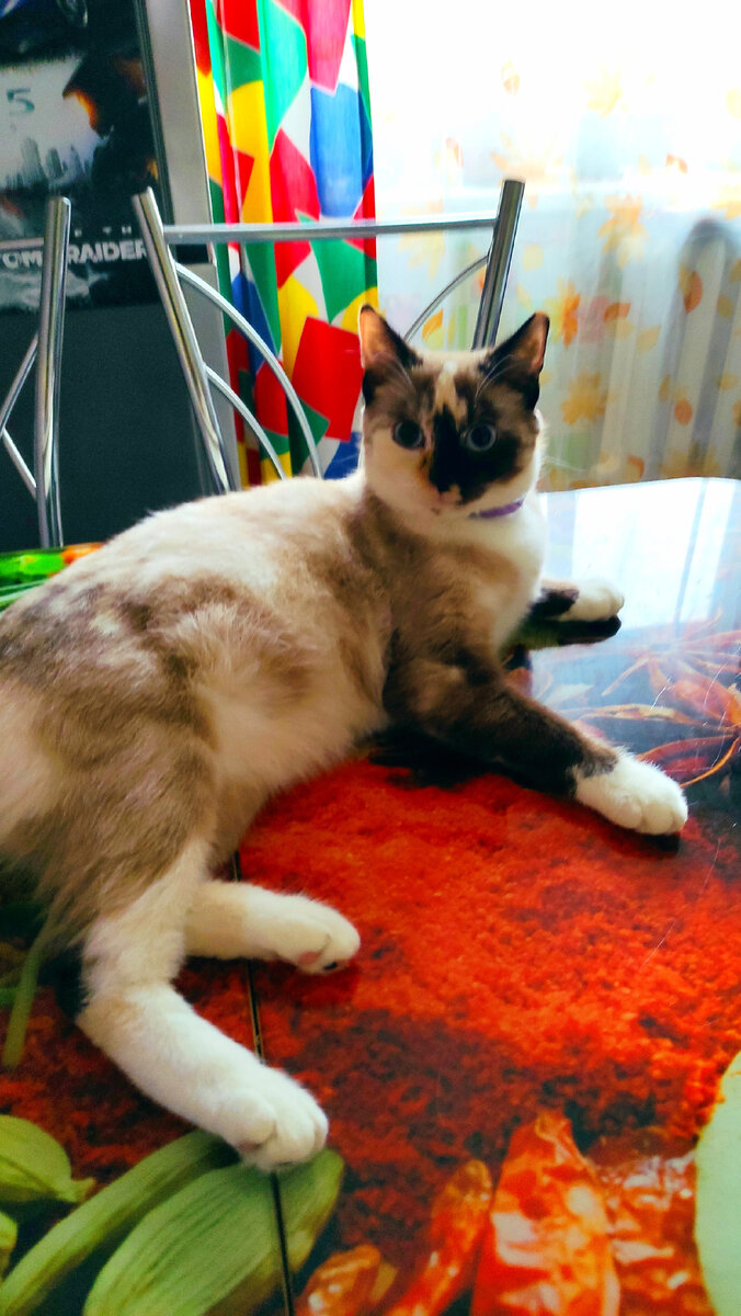 Фото автора канала 