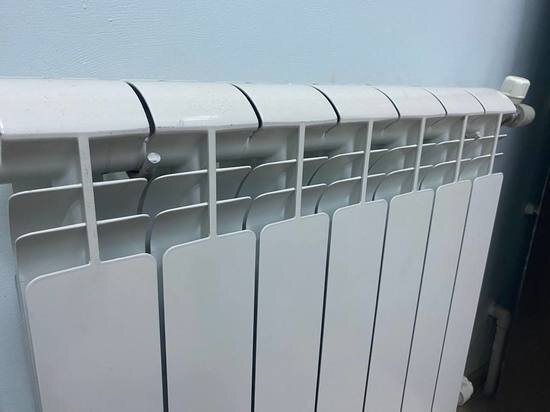     Фото: Анастасия Чебакова