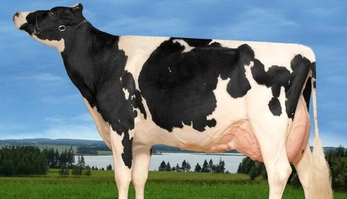 Источник: https://kulturologia.ru/blogs/280519/42843/ 