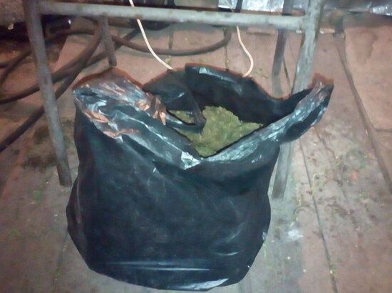     фото гу мвд по красноярскому краю