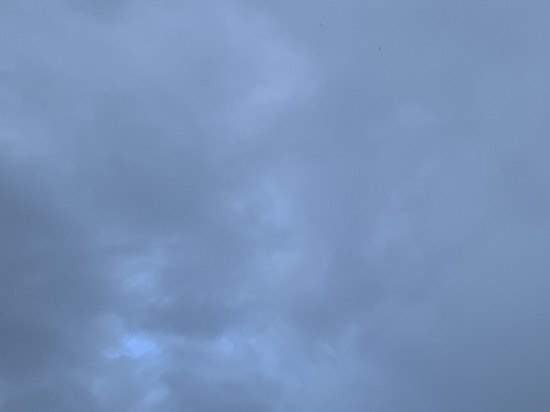     фото: МК в Туле.